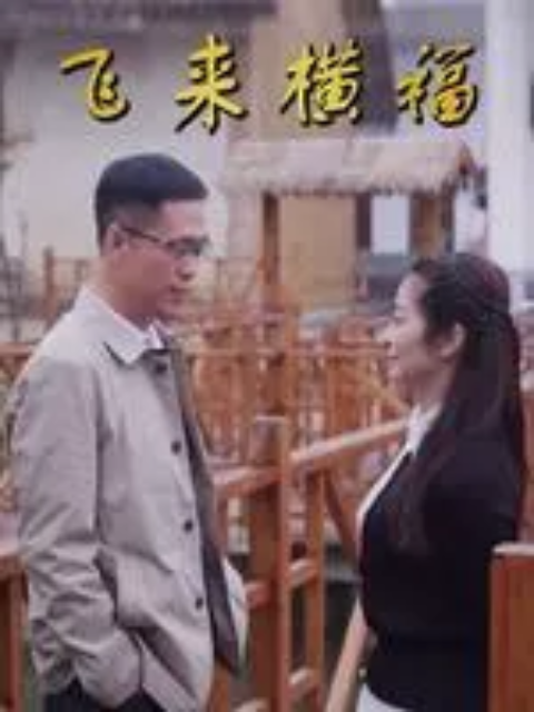 飞来横福海报