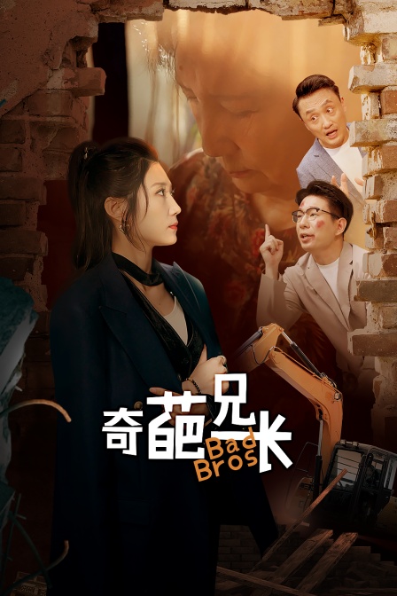 奇葩兄长海报