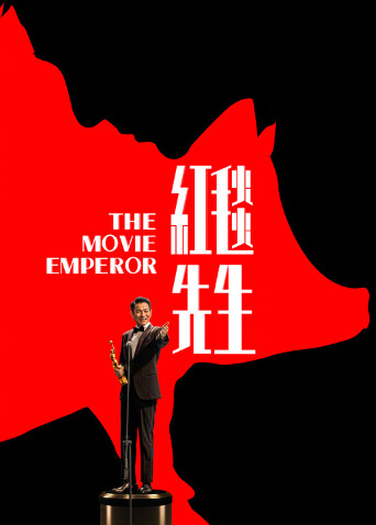 红毯先生海报
