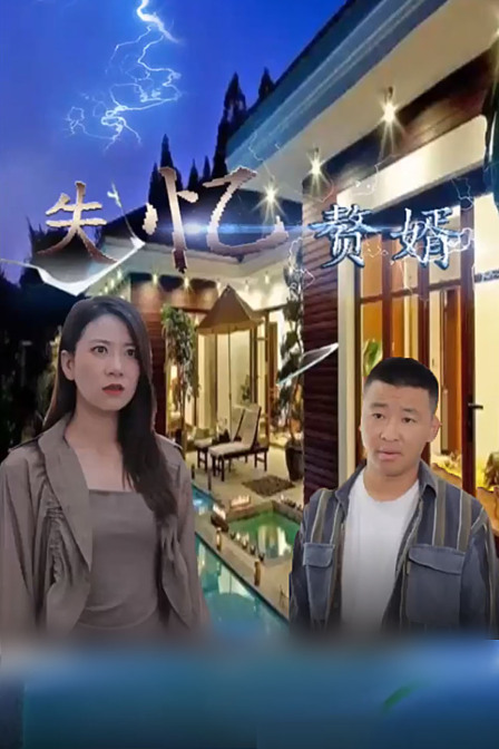 失忆赘婿海报