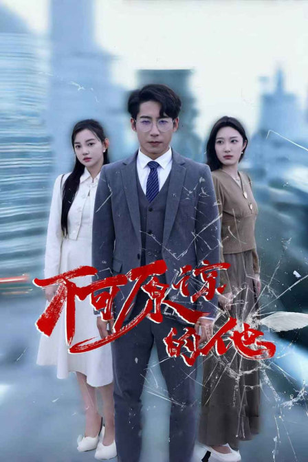 不可原谅的他海报