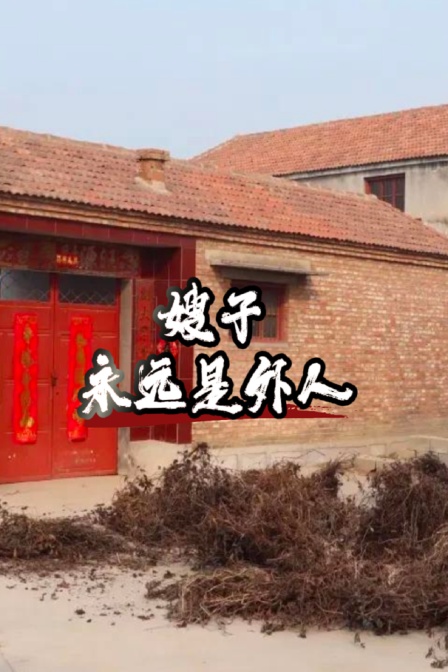 嫂子永远是外人海报
