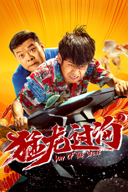 猛龙过沟2海报