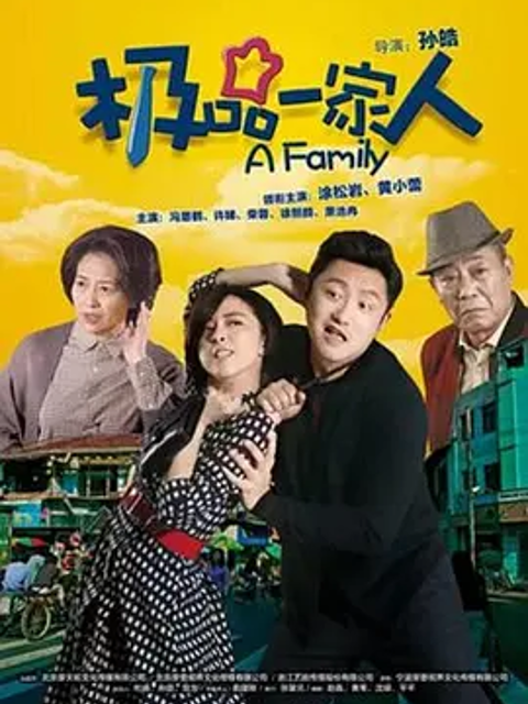 极品一家人海报