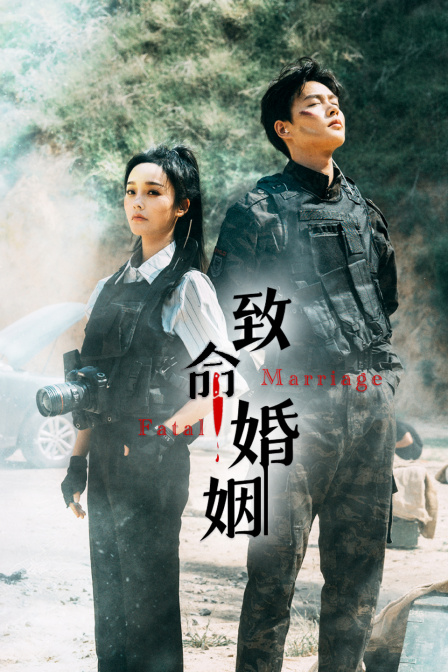 致命婚姻海报