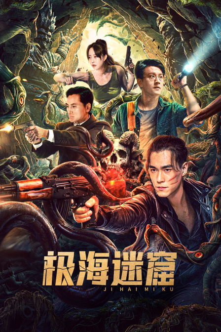 极海迷窟海报