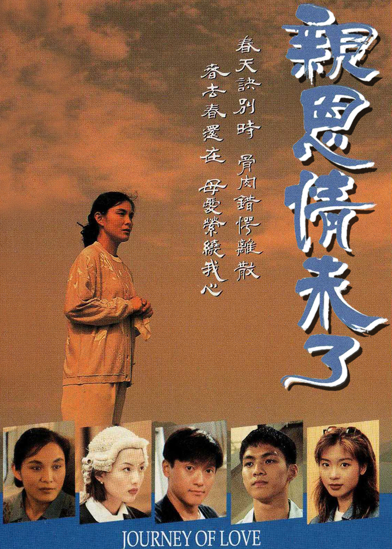 亲恩情未了海报