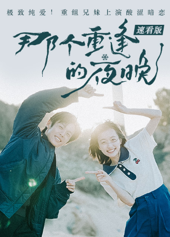那个重逢的夜晚速看版海报