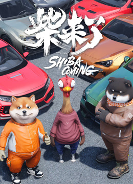 柴来了海报