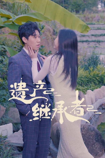 遗产继承者海报
