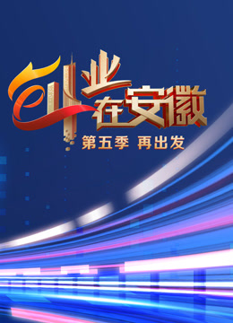 创业在安徽第五季海报
