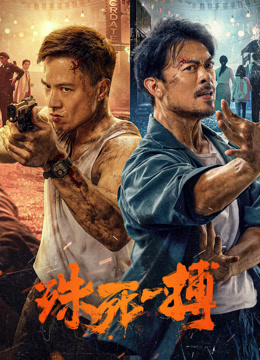 殊死一搏海报