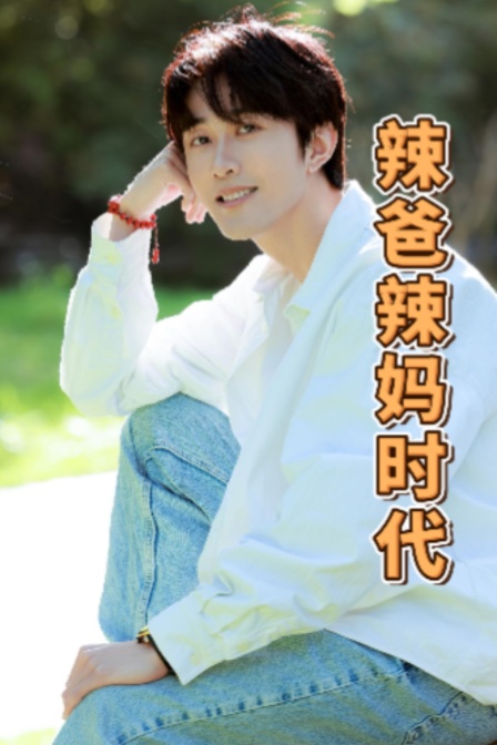 辣爸辣妈时代海报