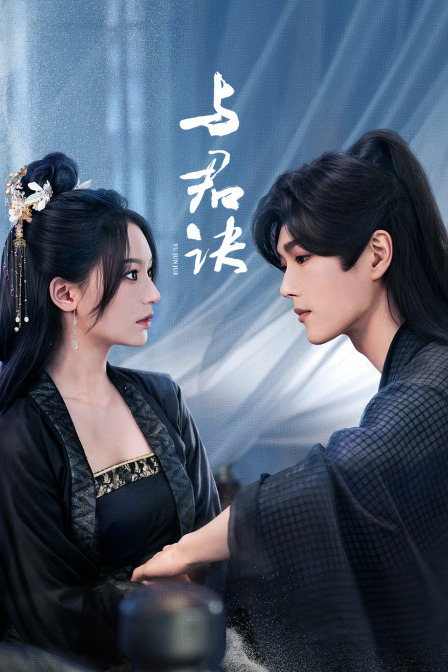 与君诀海报