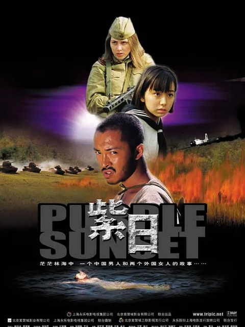 紫日海报