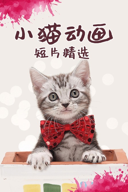 小猫动画短片精选海报