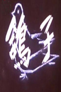 鸽子海报