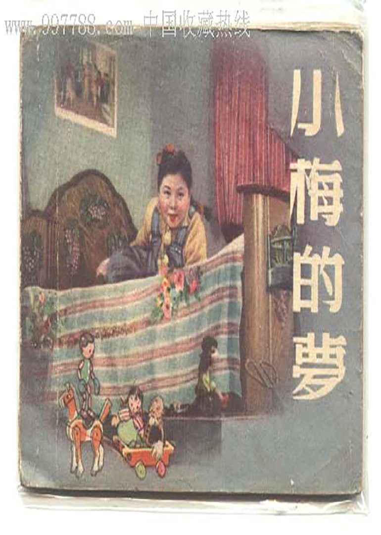 小梅的梦海报