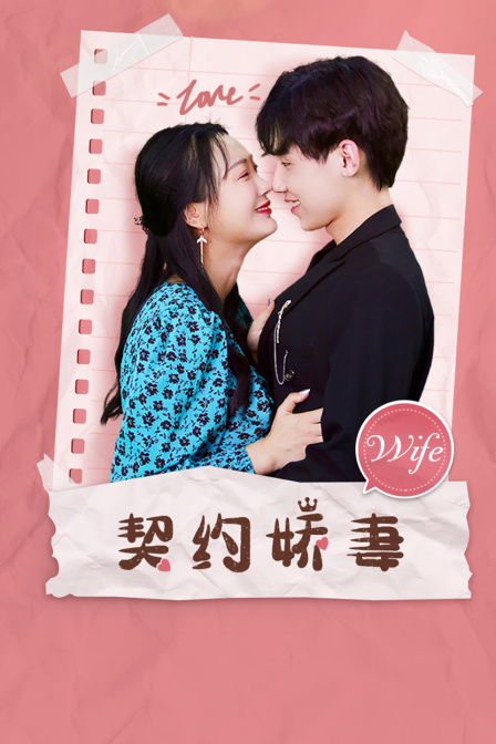契约娇妻海报