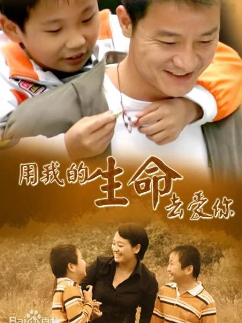 用我的生命去爱你海报