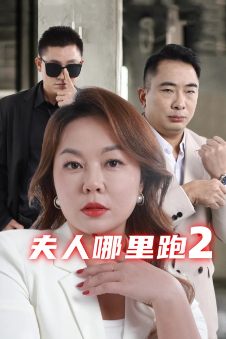 夫人哪里跑2海报