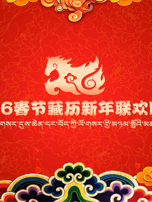 2026年春节藏历新年联欢晚会海报