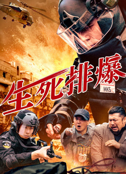 生死排爆海报