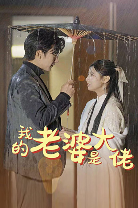 我的老婆是大佬海报