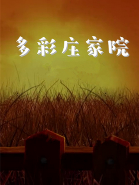 多彩庄家院海报