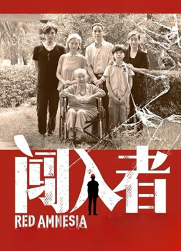 闯入者海报
