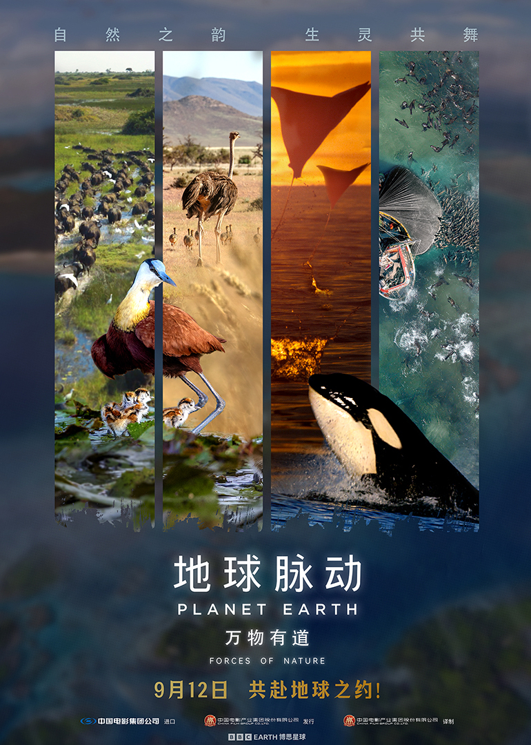 地球脉动：万物有道海报