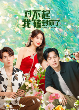 对不起，我磕到你了海报
