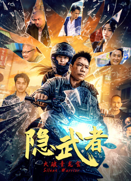隐武者：大破青龙会海报