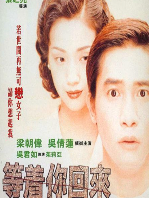 等着你回来海报
