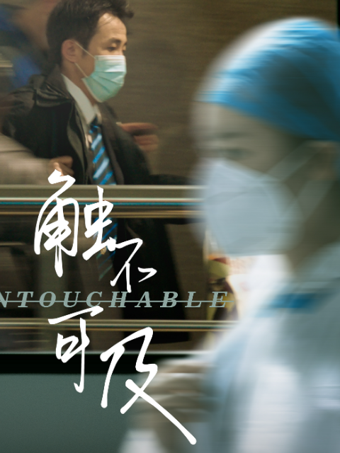 触不可及海报