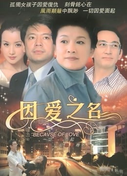 因爱之名海报