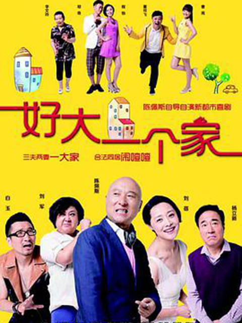 好大一个家海报