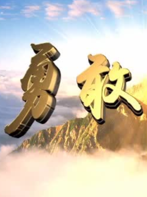 勇敢的心2海报