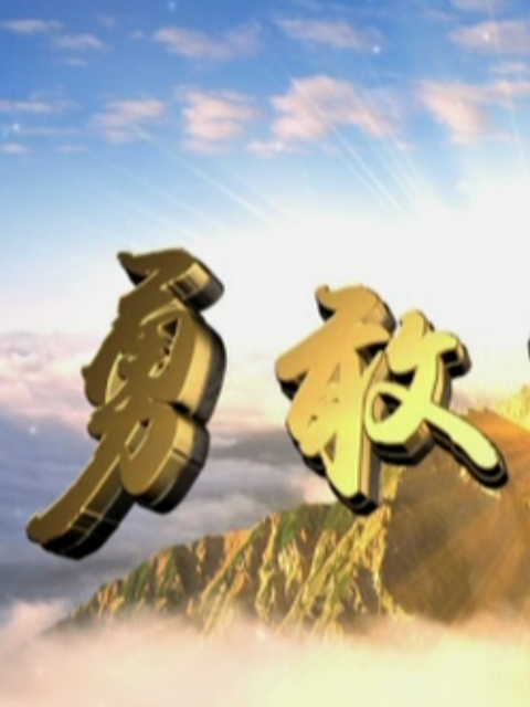 勇敢的心3海报