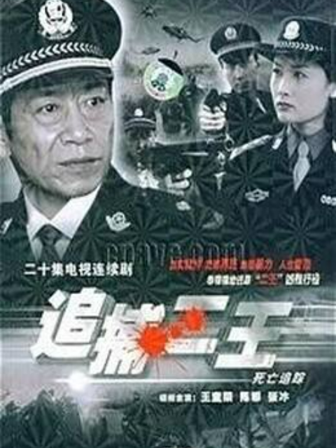 追捕二王海报