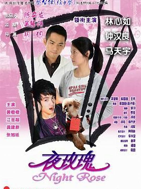 夜玫瑰海报