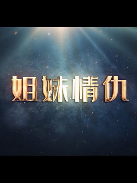 姐妹情仇海报