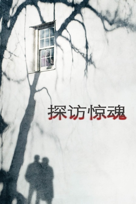 探访惊魂海报