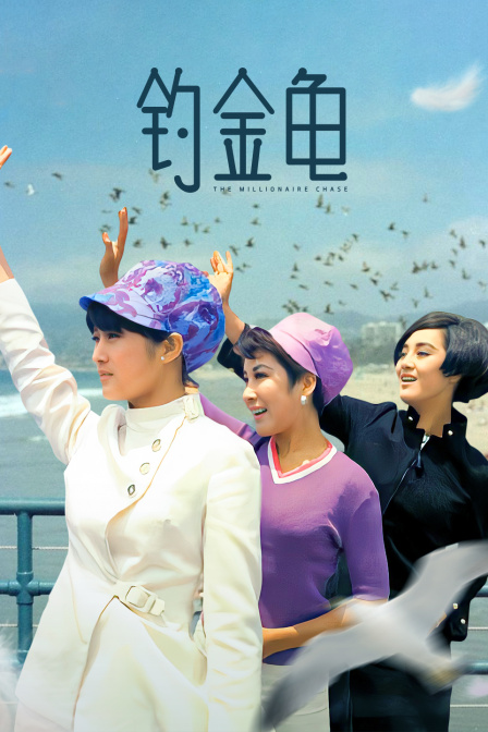 钓金龟海报