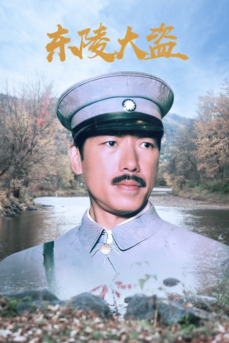 东陵大盗海报