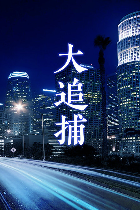 大追捕海报