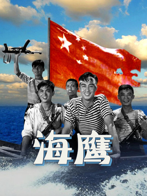 海鹰海报