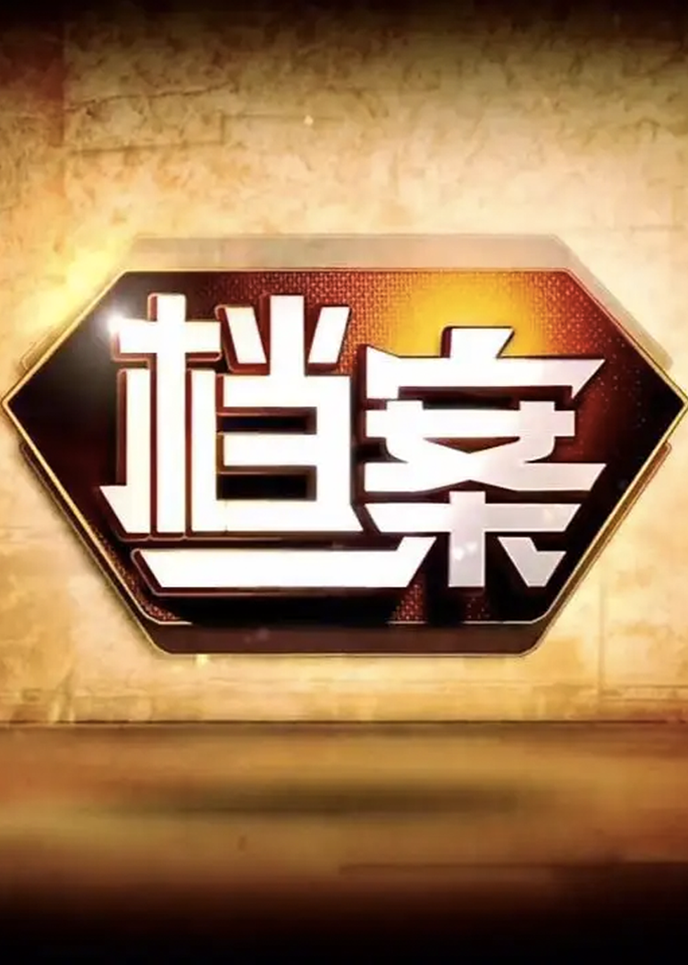 档案北京卫视海报
