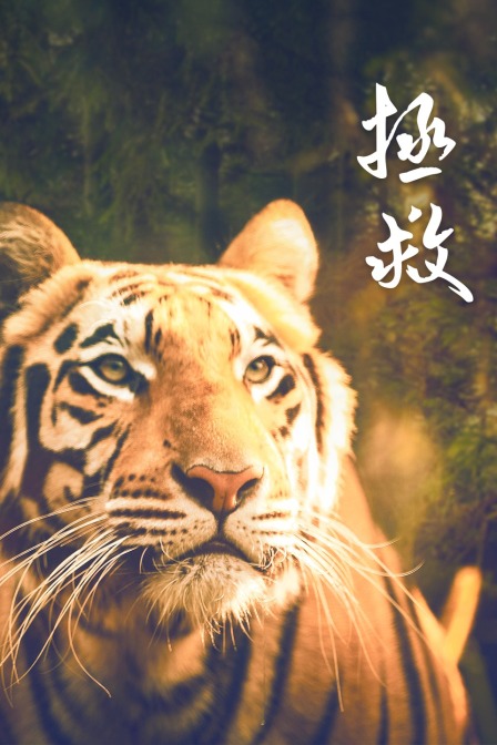 拯救海报