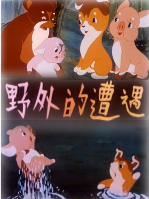 野外的遭遇海报